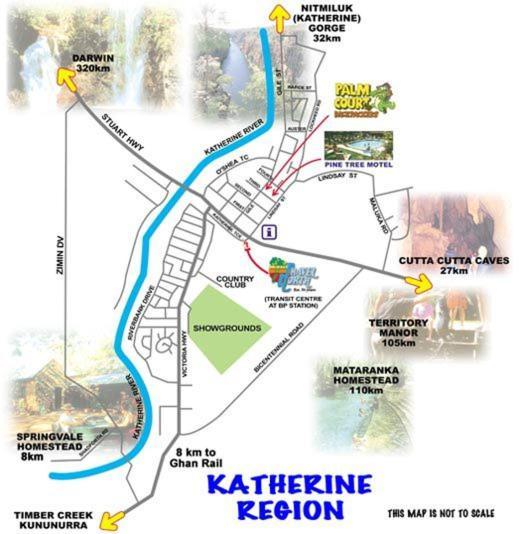 Palm Court Backpackers Albergue Katherine Exterior foto