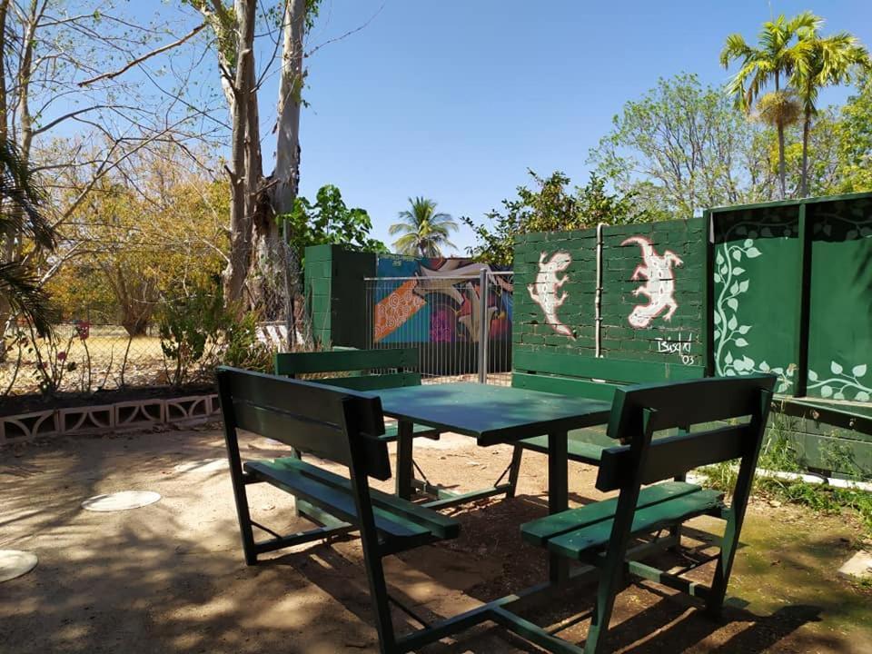 Palm Court Backpackers Albergue Katherine Exterior foto